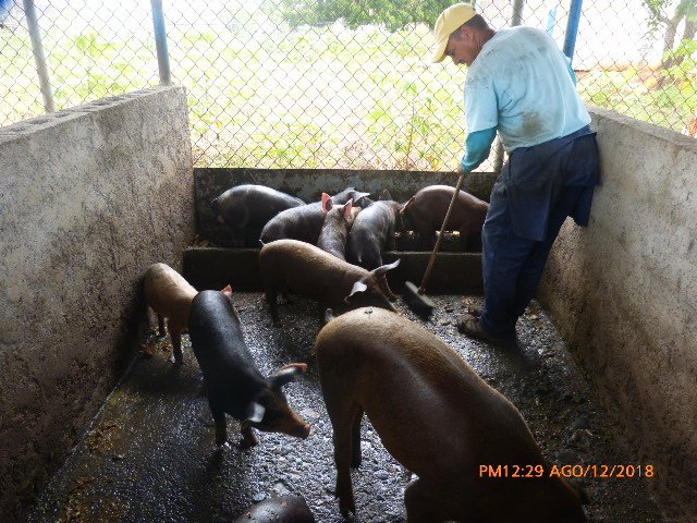 DSCRCO's tweet photo. MISION SIEMBRA Y CRIA https://t.co/QdaelMXQ7F
