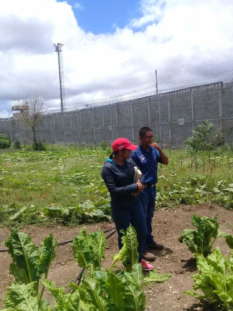 DSCRCO's tweet photo. MISION SIEMBRA Y CRIA https://t.co/9UBoEsQorr