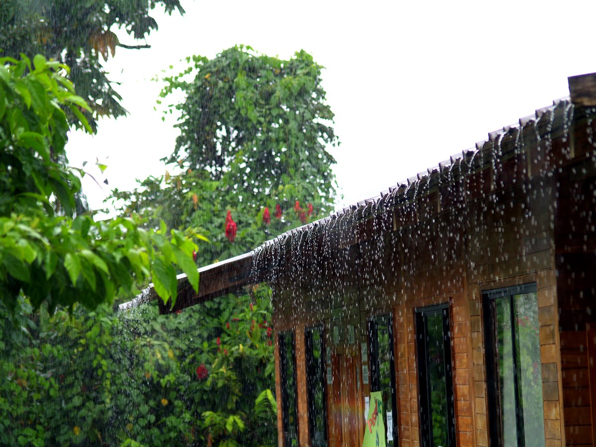 JKC_Ecuador's tweet photo. Rain, occurs regularly at Antioch & it reminds of new beginnings & the harvest. We pray for a fruitful harvest especially today as we welcome our students & parents back to start the new year. Will you join us by praying for tonight? #parentteachernight #weareready #ThankYou https://t.co/FIi7VPf6gf