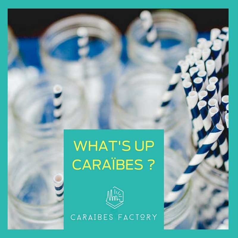 #WhatsUpCaraïbes Pailles, plaques et couverts en plastique seront interdits, dès le 1er janvier 2019 sur l’île de la Dominique. Quelles alternatives imaginez-vous? A vos claviers ! #CaraïbesFactory #CF #TeamCF #BeCF  #Dominique  #Caribbean