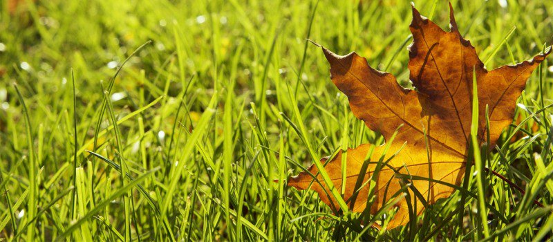 View the schedule changes for #LabourDay on Monday, September 3, 2018. saultstemarie.ca/Newsroom/Augus… https://t.co/oyOqkASQBB