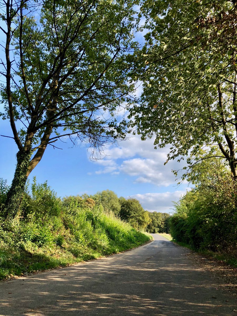titiatournois's tweet photo. Walking, one step after the other, slowly, seeing the trees, feeling the wind, thankful, deeply thankful 🌿 https://t.co/LzD2QfL03V