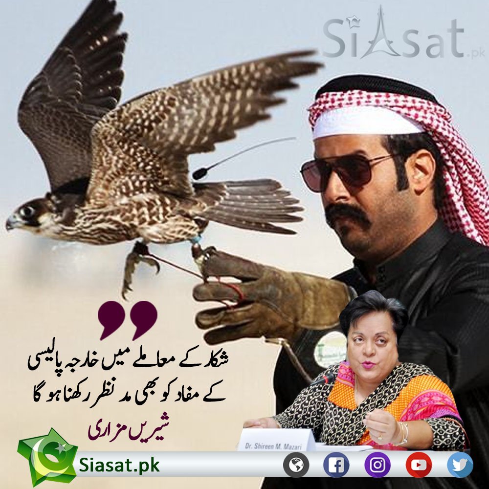 siasatpk's tweet photo. کیا تحریک انصاف حکومت میں بھی تلور کا شکار خارجہ پالیسی کے ٹول کے طور پر استعمال ہوگا ؟

@ShireenMazari1 #Tilor #HoubaraBustard #Hunting #Pakistan #Qatar #ForeignPolicy 

Source : https://t.co/hyzn7shvDH https://t.co/4JuGqPyHg3