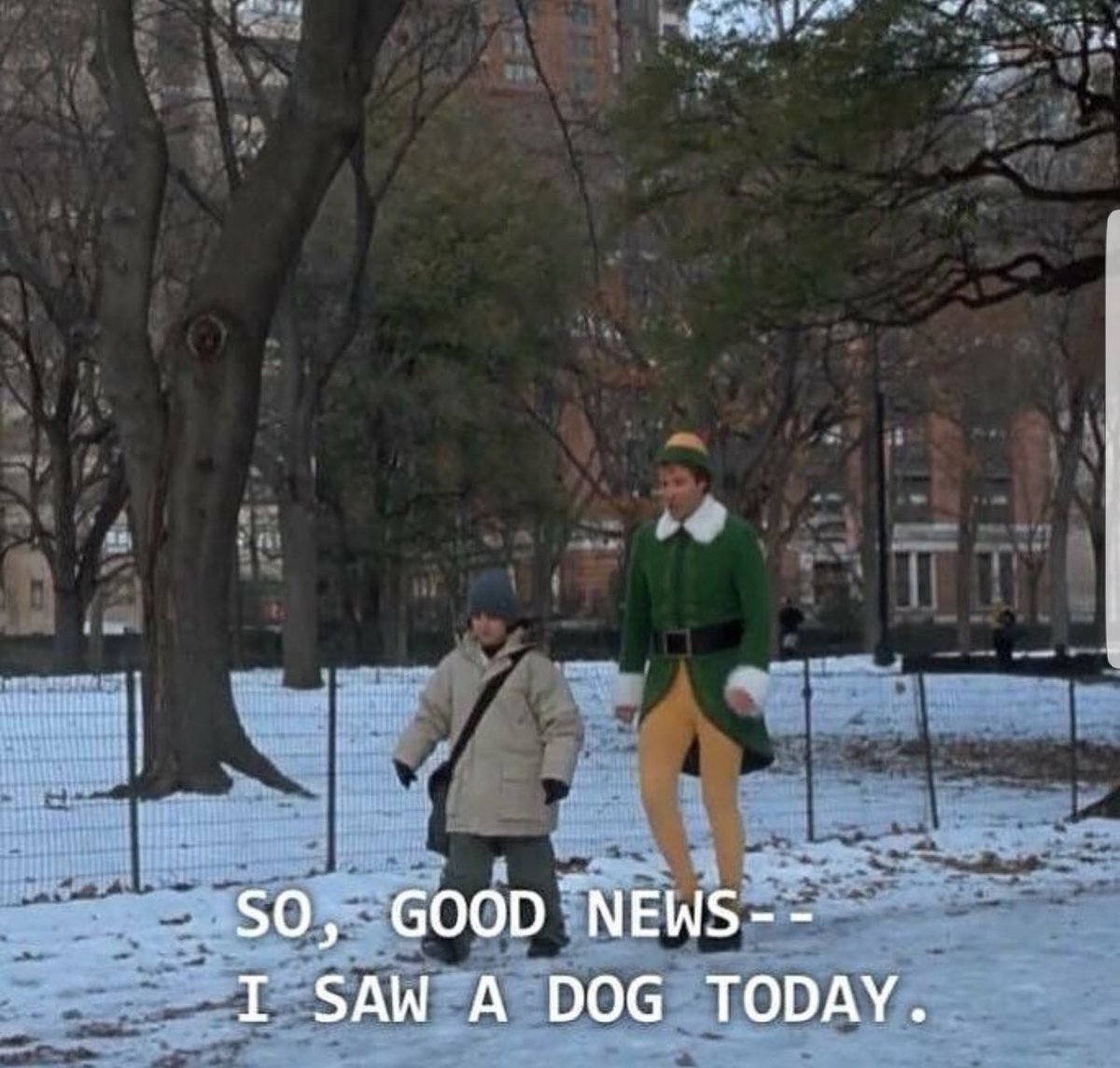 His_Boujeeness's tweet photo. Since I’ve started college I’ve watched myself blossom into Buddy the Elf https://t.co/JbqMYaDW52