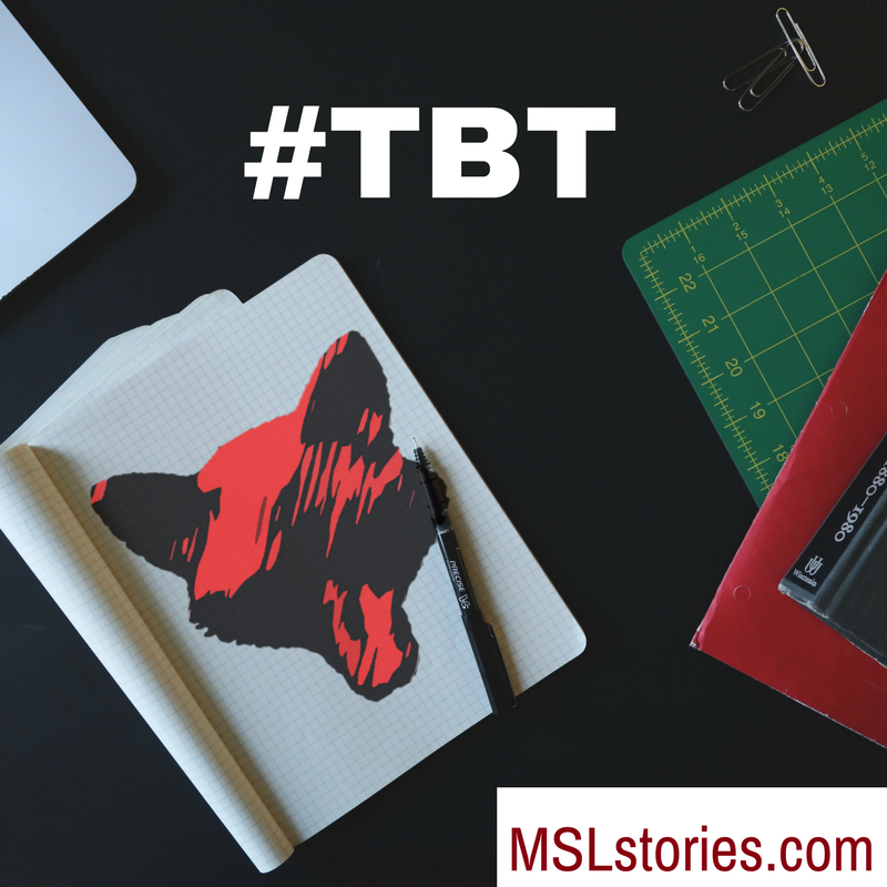 MSLstories tweet media