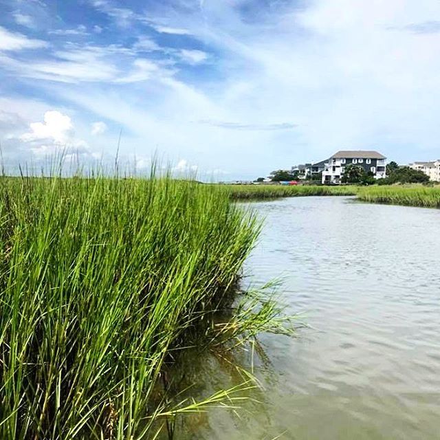CapeFearSUP's tweet photo. The #saltmarsh in our very own backyard is a serene maze of pools &amp; channels just waiting to be explored! 🌾💙☀️🦀🐚🐟
Rentals + SUP excursions AVAILABLE DAILY 🤙🏼
#LoveToSUP #WrightsvilleBeach #IslandLife #GetOutThere https://t.co/UYXLcNzBU8