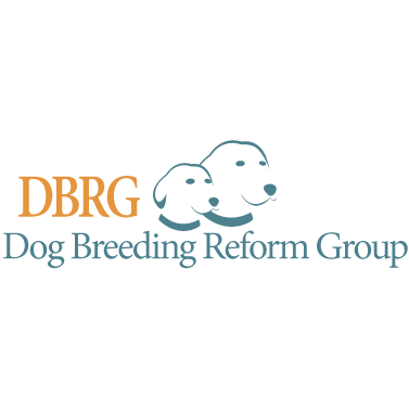 IPFDogs's tweet image. Today’s IPFD Contributor profile features the @DogBRG : dogwellnet.com/partners-and-s…
