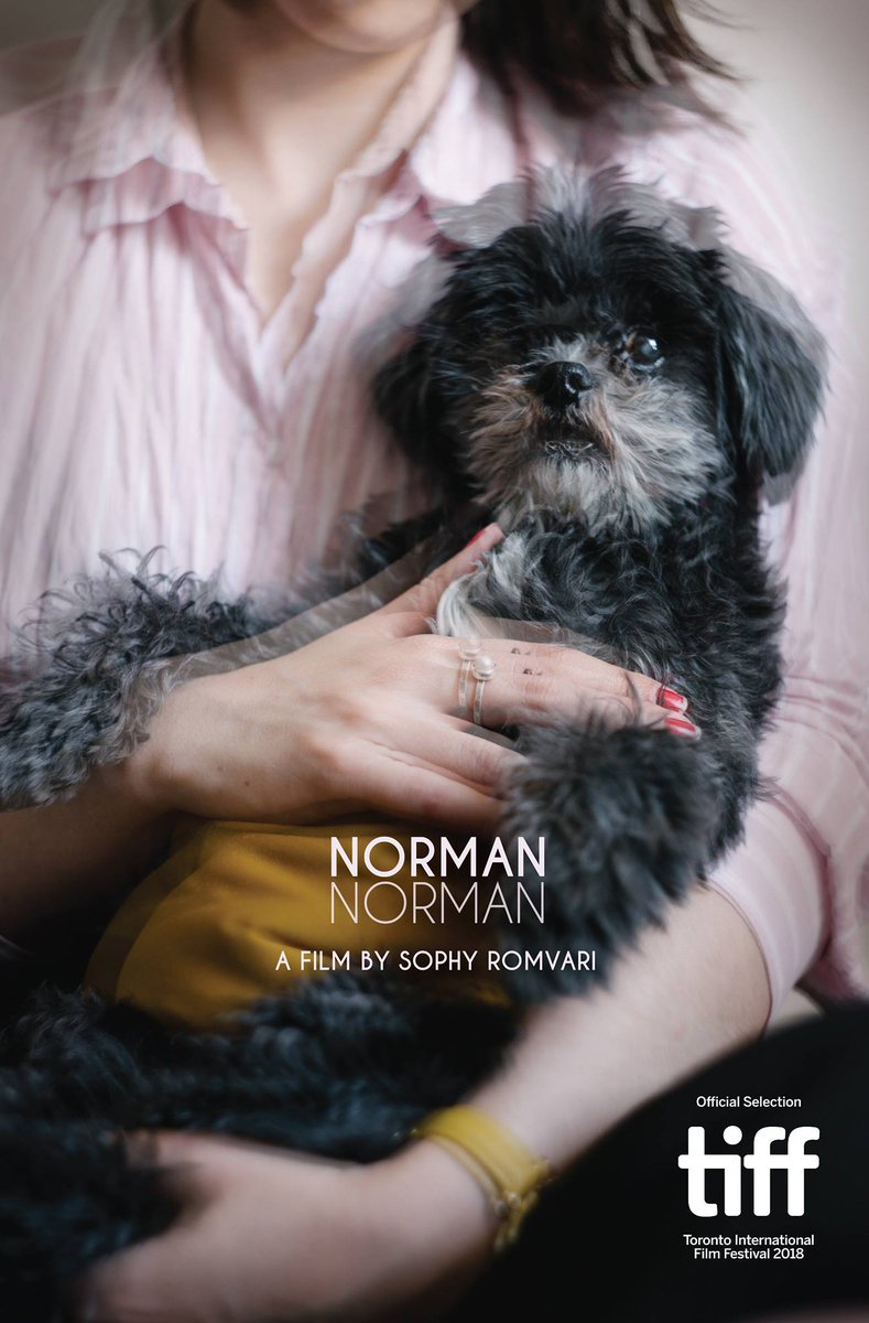 jandersonesque's tweet image. If you can see only one TIFF movie starring an elderly Shih Tzu this year, NORMAN NORMAN&apos;s gotta be it! See it in Short Cuts programme 3.#TIFF18 #TIFFProTips