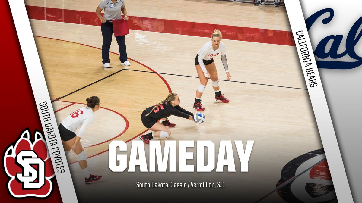 South Dakota Volleyball tweet media