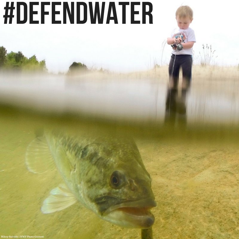 NWFwater's tweet photo. Conserving our rivers, lakes, and streams ensures our kids and grandkids can enjoy outdoor traditions like fishing and hunting. Without the federal safeguards of the Clean Water Act, future generations might not have the same opportunities. #CleanWaterRules https://t.co/USsFlOiyCF