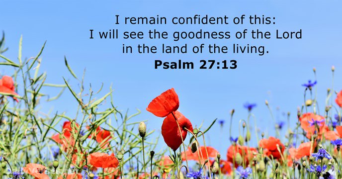KingDavidSong's tweet photo. #Psalms #DavidPsalms #Confident #IveGotConfidence #Goodness #Mercy #Faithfulness #Blessings #Favor #edefy https://t.co/yckwe93DCU