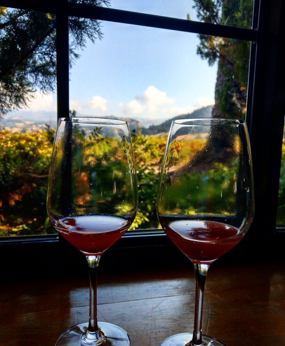 This morning's juice from sugar samples of our Zin and Merlot... #Harvest18 is almost here!