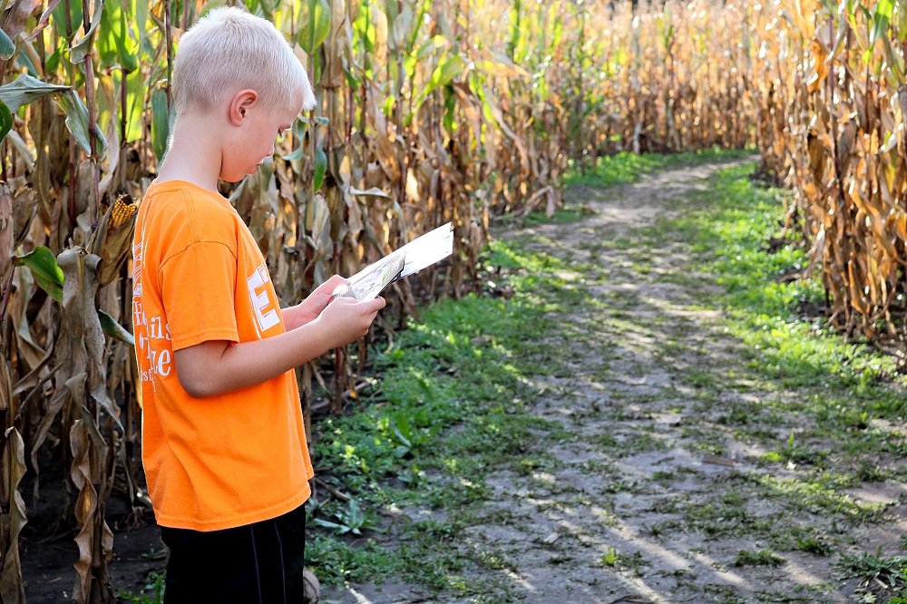 Whether it’s fun fall festivals or a trip to the pumpkin patch, we’ve got family-friendly experiences for you and your loved ones to enjoy. ow.ly/vTGQ30lCyao #lacrossecounty #explorelacrosse #fallinwisconsin #fallfamilyfun #familyfun #fallfestivals #fallactivities