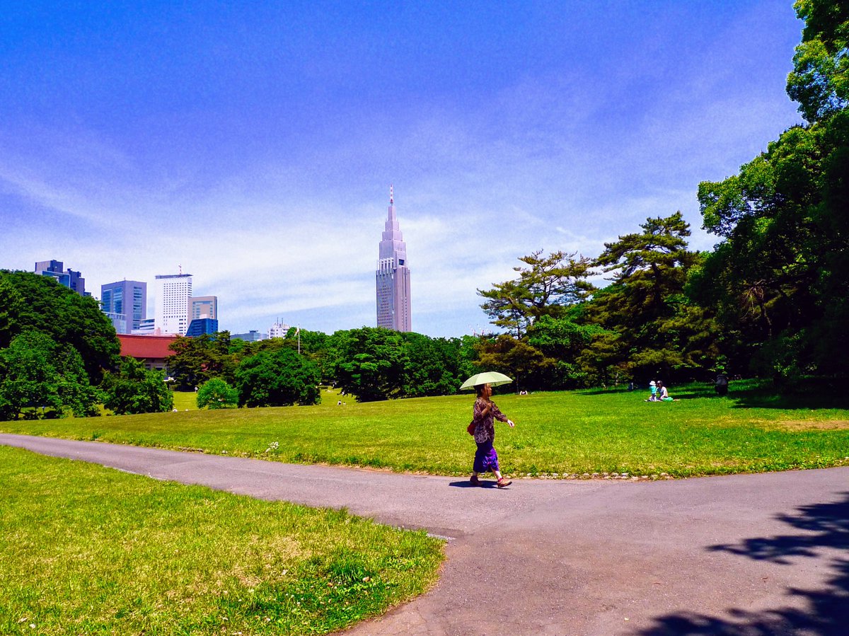 Good morning!! Have a happy Friday😘😘😘
Summer sunshine@Imperial garden of the Meiji Shrine, Tokyo