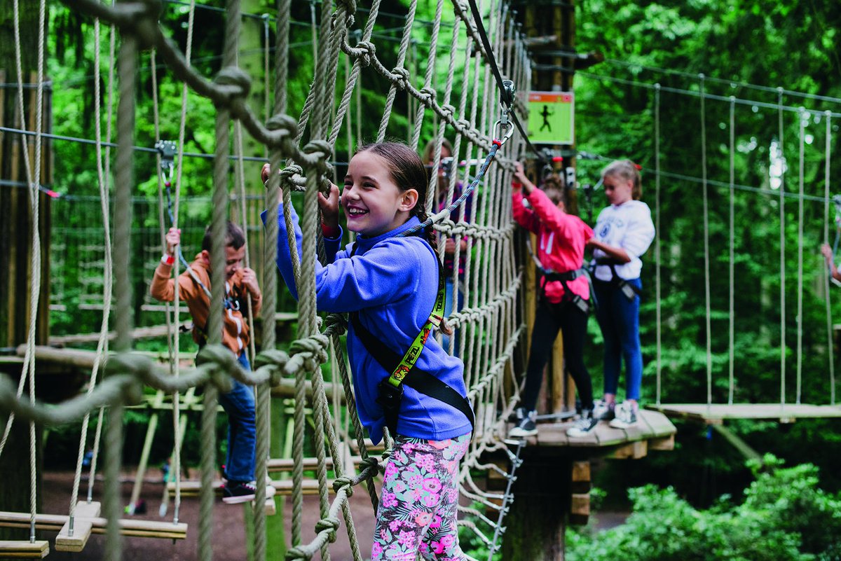 Chessington World Of Adventures Resort Go Ape With Your School And Swing Through The Trees Go Ape Tree Top Junior Offers Pupils An Hour Of Adventurous Fun As They Chessington World Of Adventures Resort Go Ape With Your School And Swing Through The Trees Go Ape Tree Top Junior Offers Pupils An Hour Of Adventurous Fun As They