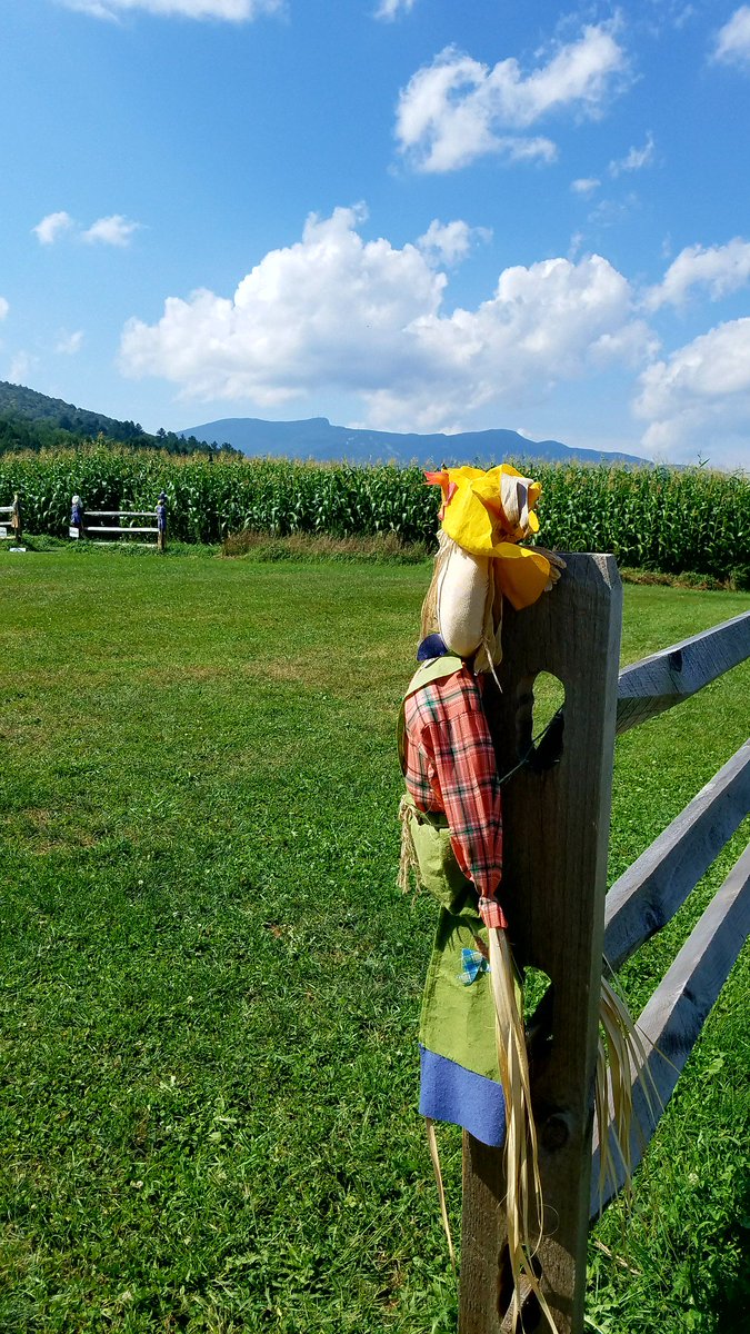 gostowe's tweet photo. Hard to believe some of our favorite stops on the #StoweRecPath will be covered in color in just a few short weeks! #summerinstowe #stowefoliage #fallfoliage #fallintostowe #gostowe #mtmansfield #percyfarmcornmaze #coveredbridge @VermontTourism https://t.co/mD9BrXAMub