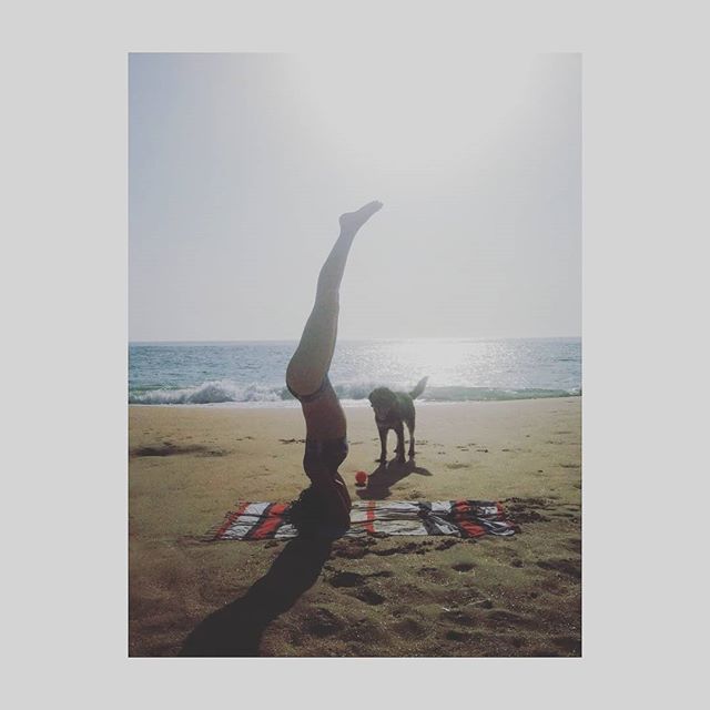 slowfyme's tweet photo. #strengthforthejourney day 6. I never tried to do sirsasana on the beach before... I found challenging to keep the balance on a inestable surface. What a metaphor of life!!🤔🤔 Just a little reminder of this beautiful initiative of @trinifoundation… https://t.co/6Vfx5snCVP https://t.co/Z9Mdvm20by