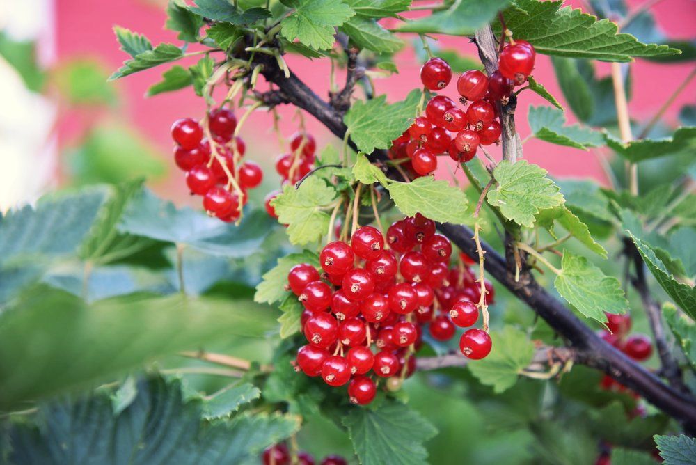 meanderbug's tweet image. We are honored to be recognized by @UnsettleDown in their new guide on How to Score Affordable Travel Accommodations. Check it out!
#ttot #farmstay #familytravel #outfam #crazygoodtravel
buff.ly/2C35iac