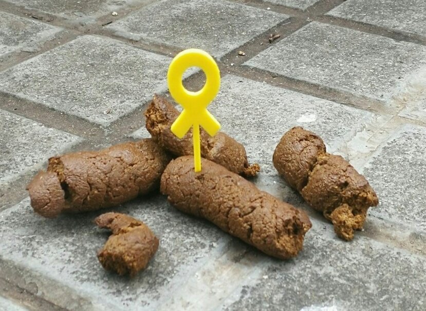 A que no tens pebrots de treure aquest, pijo!
I la Barbie, menys encara...
Passeu pel nostre <a href="/campingSER/">CampingStEsteveDelsRoures</a> i veureu els arbres i els camps florits de groc!