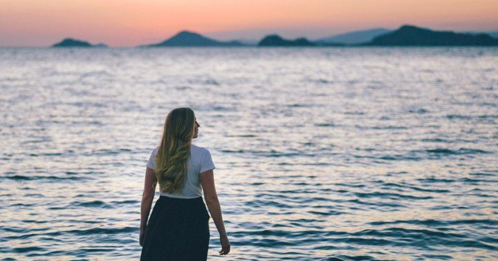 KneeRover tweet media