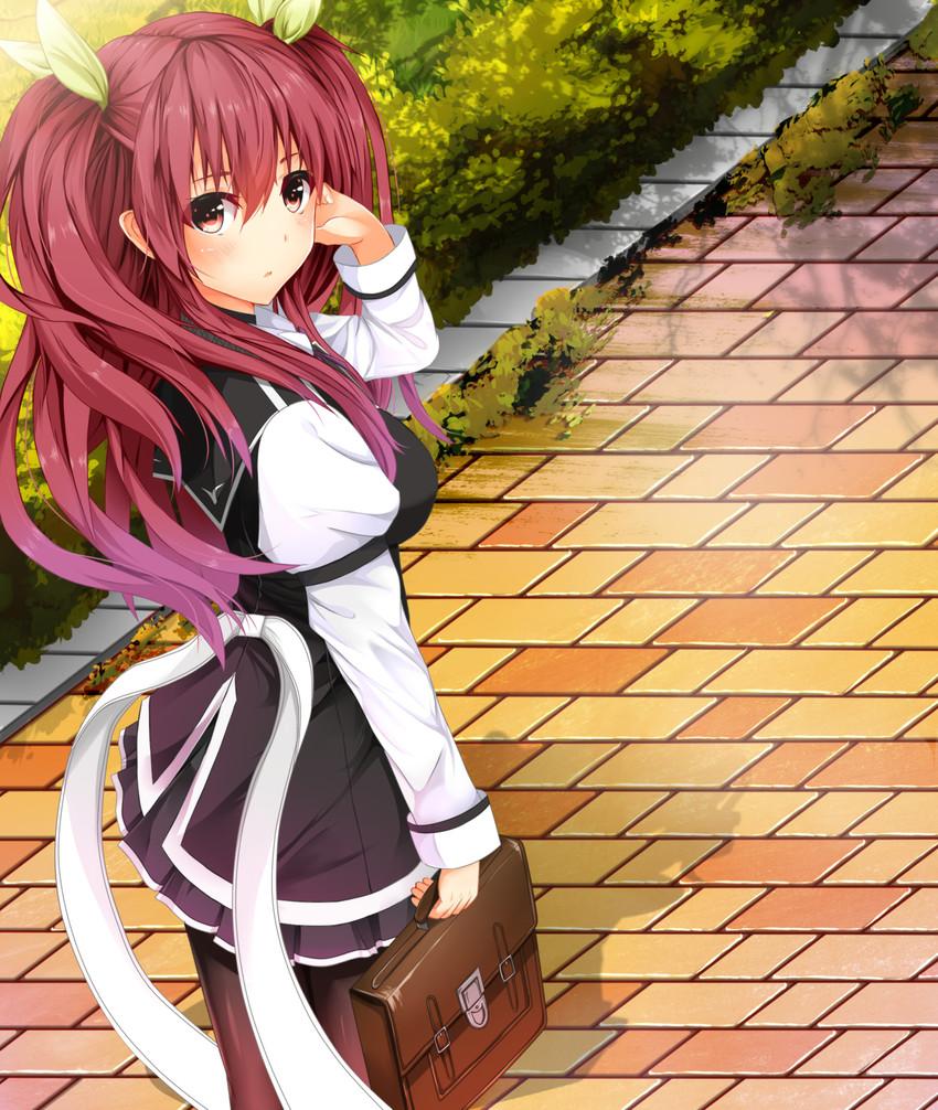 NoviceMansuha tweet picture