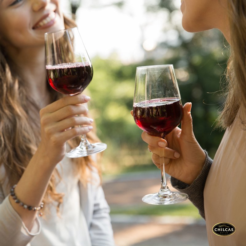 ChilcasWines's tweet photo. Con una copa de vino comienzan las buenas historias #Chilcas #ElOrigenDeLoInolvidable #TheOriginOfTheUnforgettable https://t.co/csmdudEBl3