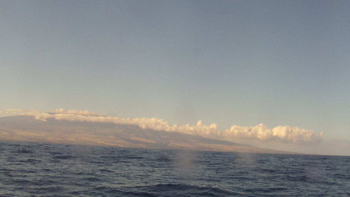 Enjoy the view! #aloha #drone #hawaii #java #robotics