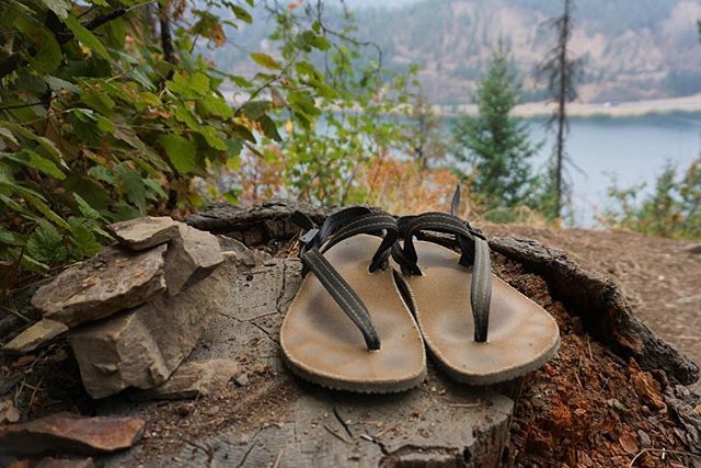 earth_runners_'s tweet photo. Leave your shoes by the edge of the woods, you never quite caught me, but then nobody could. 🌲🐾
•
•
•
•
#trailrunning #trailrun #optoutside #barefootrunning #veganshoes
#crueltyfree #sustainablefashion #veganfashion #rewild #rewilding #earthconnection #borntorun #feelth… https://t.co/pgECUWs3T2