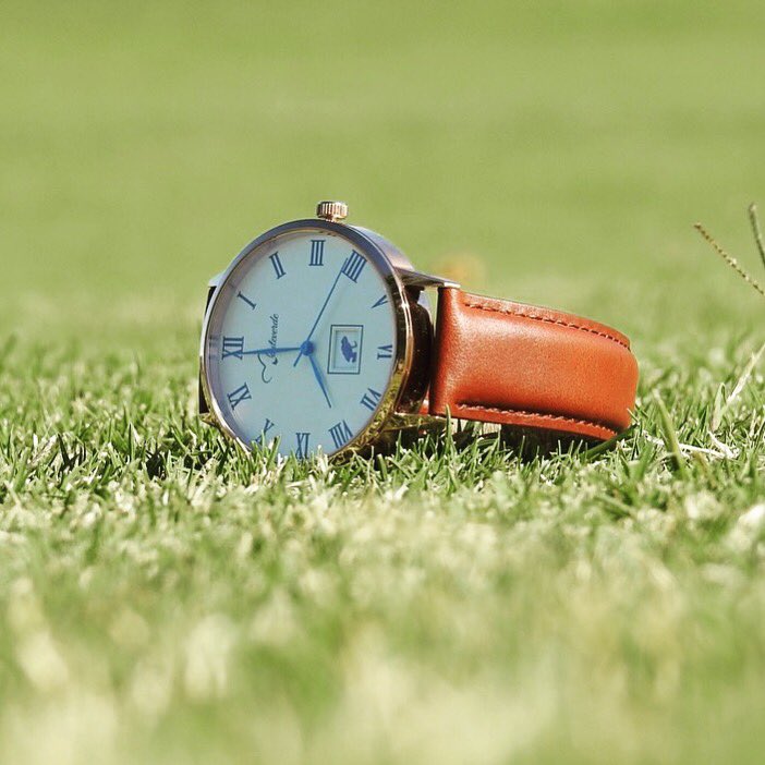 Monteverde Watches tweet media