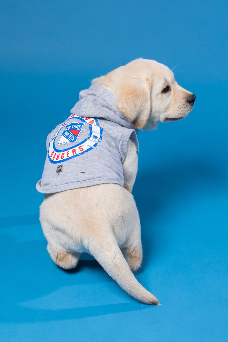 ny rangers dog jersey