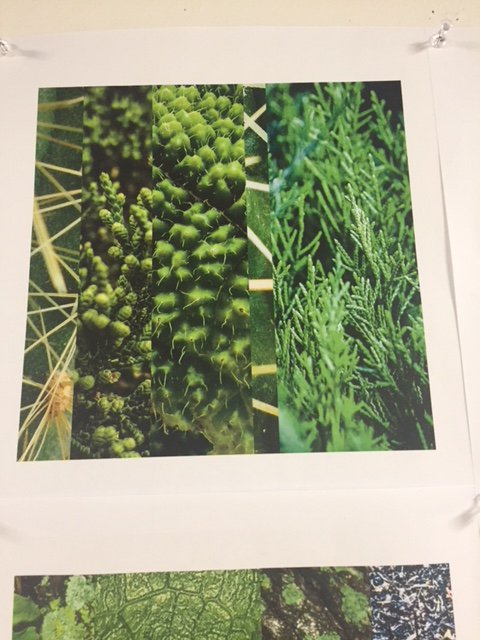 KStateArtDept's tweet photo. Graphic Design Concepts studio completed their 1st project of combining 5 different texture photos to represent land, air and water. Examples of the combinations are hanging in Willard Hall. #KState #artdept #art #studioart #graphicdesignconcepts #ART300 #texture #design https://t.co/kME0bMdJ4r