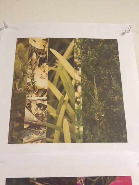 KStateArtDept's tweet photo. Graphic Design Concepts studio completed their 1st project of combining 5 different texture photos to represent land, air and water. Examples of the combinations are hanging in Willard Hall. #KState #artdept #art #studioart #graphicdesignconcepts #ART300 #texture #design https://t.co/kME0bMdJ4r