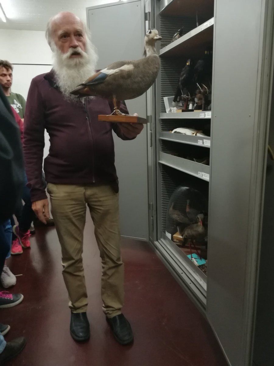 JuliaCMata's tweet image. Had an amazing visit to the #Copenhagen Zoological Museum  with the #SDM #PhDcourse at @Macroecology @Noguesbravo