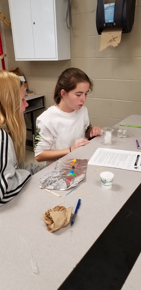 OrrickChristina's tweet image. Candy Chromatography Lab!! #LeetonBulldogs #MSScience