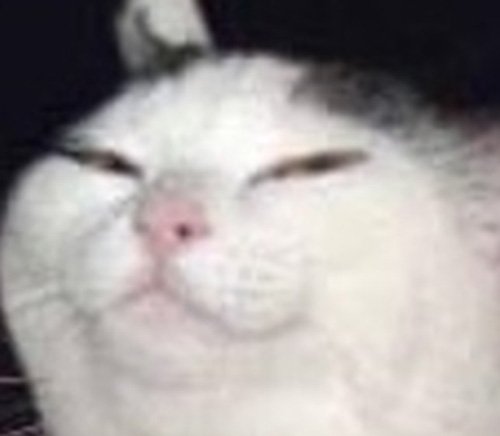 TheJarmam's tweet photo. @AlexTheULF @TheQuQu @SquidLewd https://t.co/Xyc5O80kAg