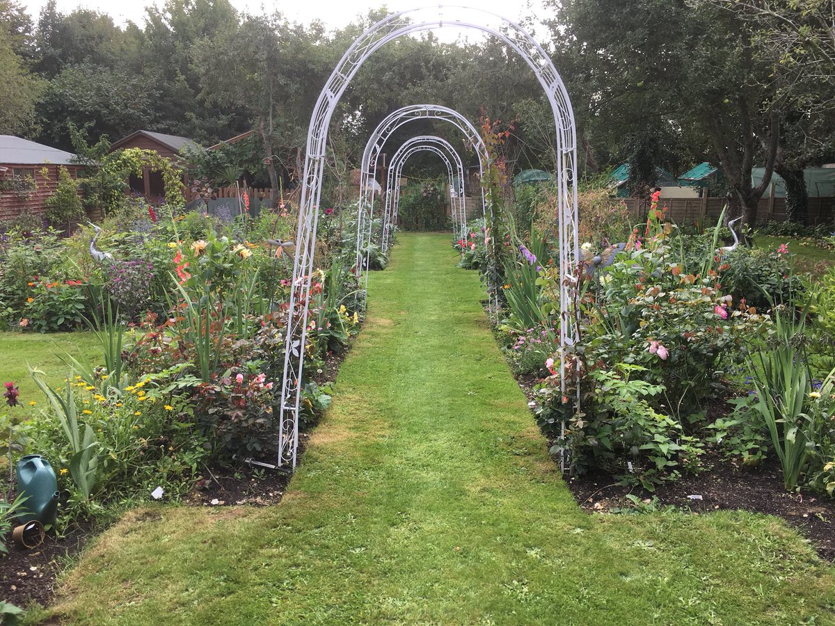 What a transformation! First picture is my garden back in May, the second is today! Would definitely not say it’s a 4-5 month old garden! Majority of the plants I had gown myself too