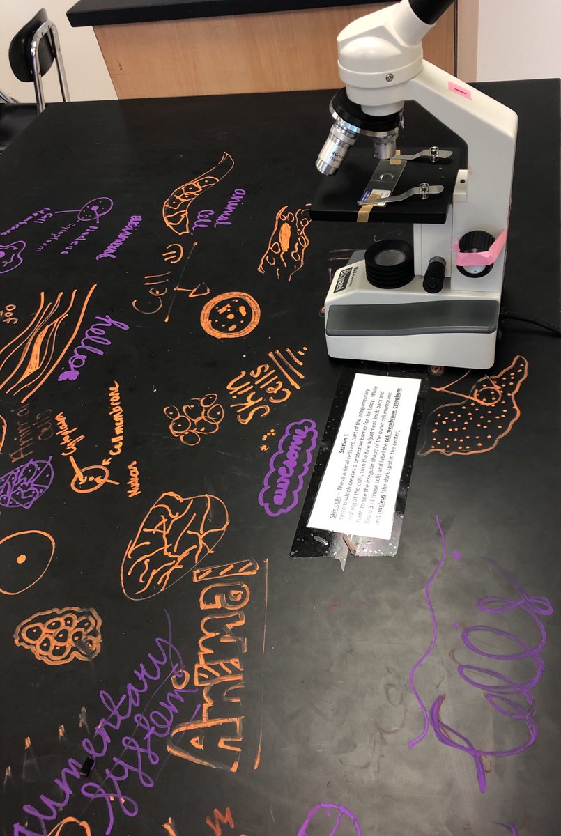 rousescience's tweet photo. Lab Graffiti! #RCHSScience2019 #PAPBioRCHS https://t.co/2CJ8bv1PdU