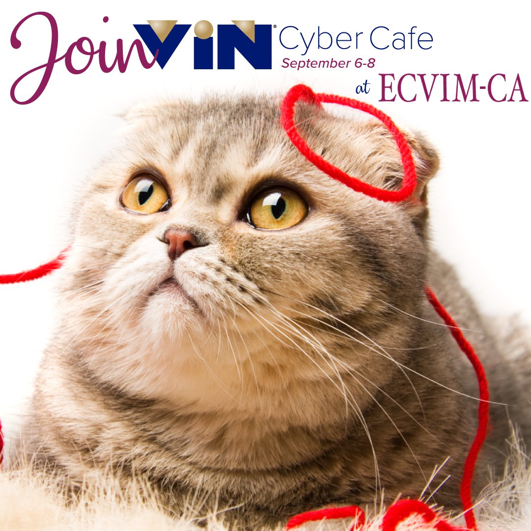VINCommunity's tweet photo. Are you attending ECVIM-CA Congress from September 6-8th in The Netherlands? Stop by the Cyber Cafe to meet with VIN representatives for any questions you have about VIN. Also, stop by and tell us what you've recently learned about VIN to be featured on our hashtag: #tilvin https://t.co/84uPZ0xEfJ