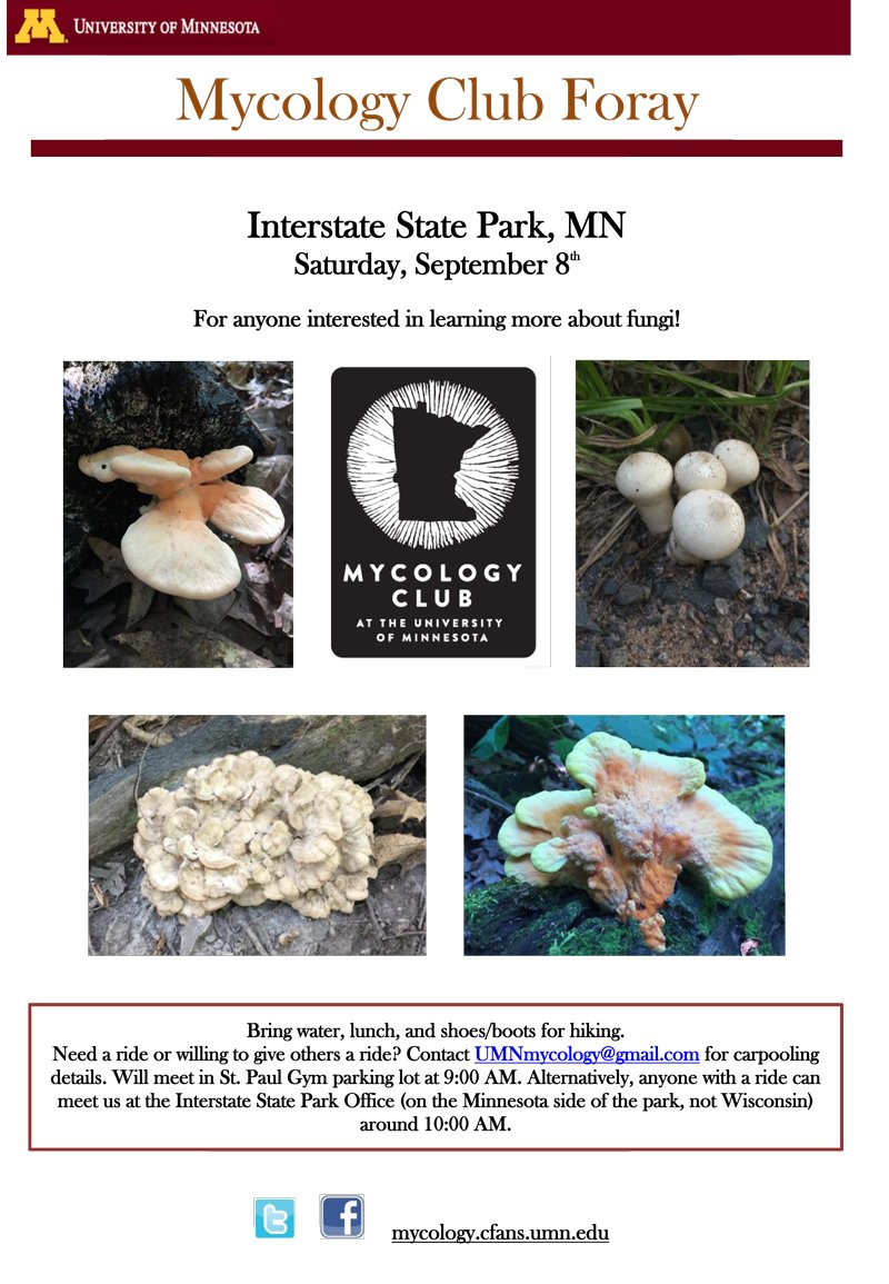 UMNMycology's tweet image. Next #Foray is Sat. Sep. 8th at Interstate #StatePark (Minnesota side) around 10.00 AM. If you would like to carpool with us, send us an email and meet us at the St. Paul Gym by 9 AM. Check out the attached flyers for more details!
#Mycology #Mushrooms #Fungi #Mycelium #MycoClub