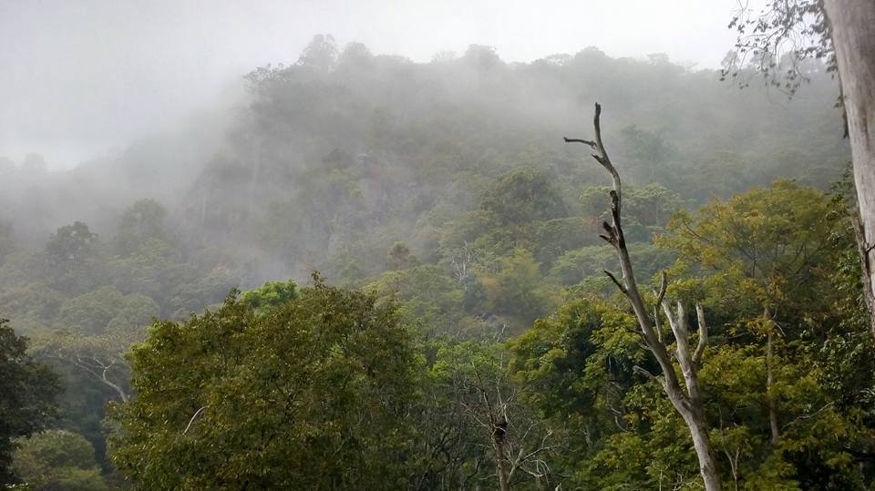 thecitybirds's tweet image. Best Place for a Bike Ride from Bangalore Yarcaud.
#WeekendGateways #bikeride #inspiredtravels #adventure_time  #blogtravel #Yarcaud
#yarcauddiaries #Tamilnadu #India #thecitybirds
