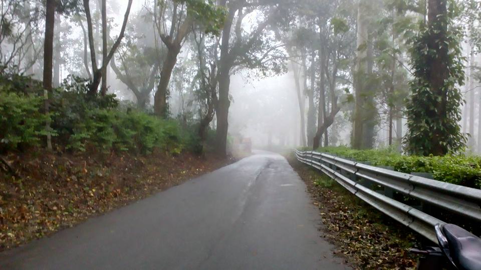 thecitybirds's tweet image. Best Place for a Bike Ride from Bangalore Yarcaud.
#WeekendGateways #bikeride #inspiredtravels #adventure_time  #blogtravel #Yarcaud
#yarcauddiaries #Tamilnadu #India #thecitybirds