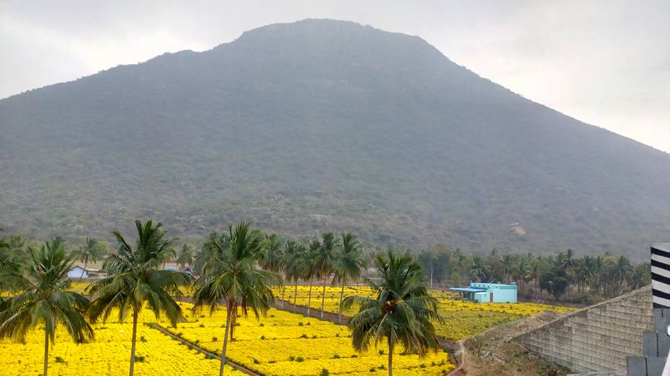 thecitybirds's tweet image. Best Place for a Bike Ride from Bangalore Yarcaud.
#WeekendGateways #bikeride #inspiredtravels #adventure_time  #blogtravel #Yarcaud
#yarcauddiaries #Tamilnadu #India #thecitybirds
