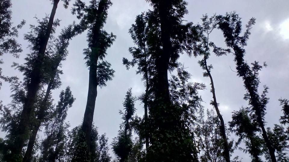 thecitybirds's tweet image. Best Place for a Bike Ride from Bangalore Yarcaud.
#WeekendGateways #bikeride #inspiredtravels #adventure_time  #blogtravel #Yarcaud
#yarcauddiaries #Tamilnadu #India #thecitybirds