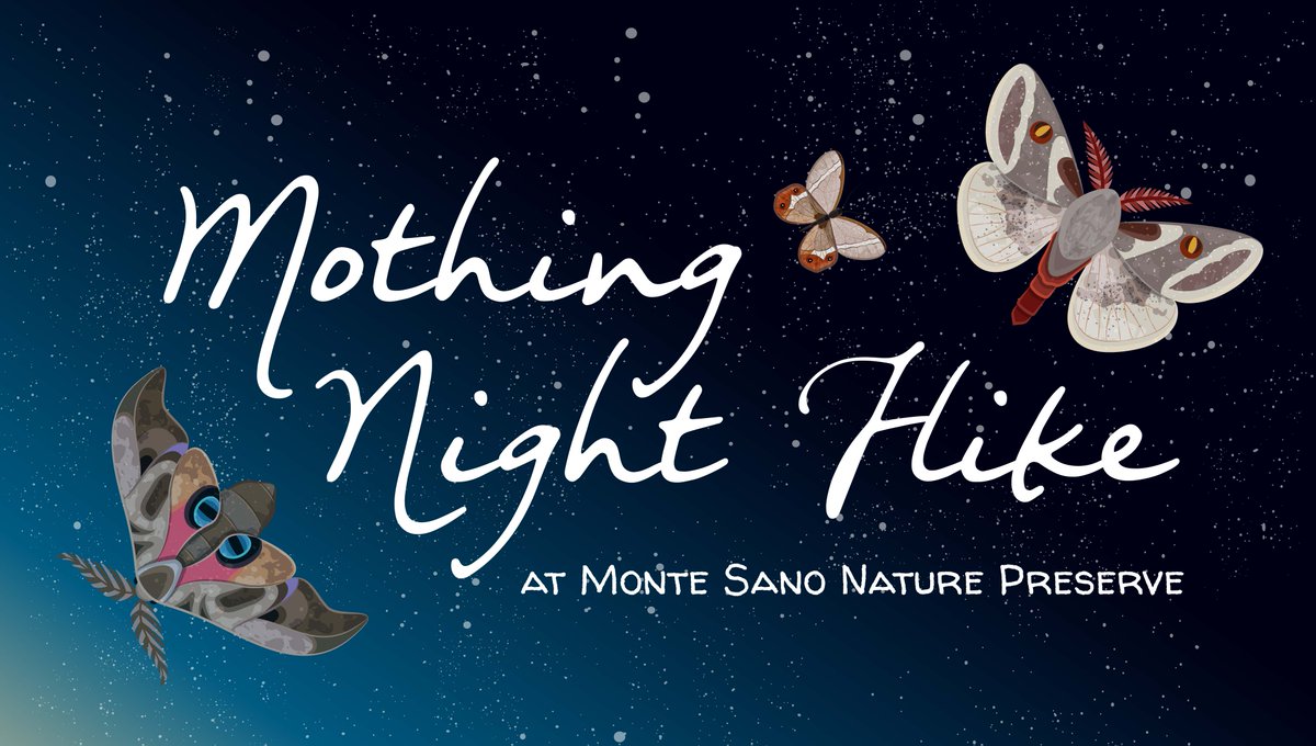 LandTrustNAL's tweet image. Did you know that moths far outnumber butterflies and are much more varied? Take an evening hike to collect, identify, and discuss the many species of moths on Monte Sano. Sign up at bit.ly/2HePM9r
