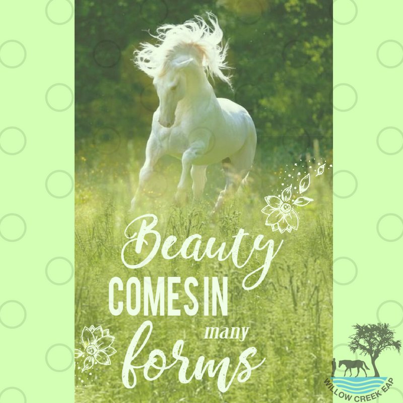 willowcreekeap's tweet photo. Especially when it smells like a horse #horseshealingpeople #willowcreekeap #beautifulhorses #feelingalive https://t.co/g0Ot6Abu6G