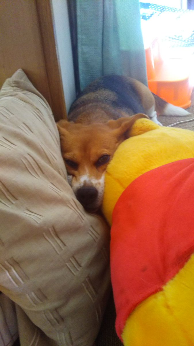 フローネ フローネ