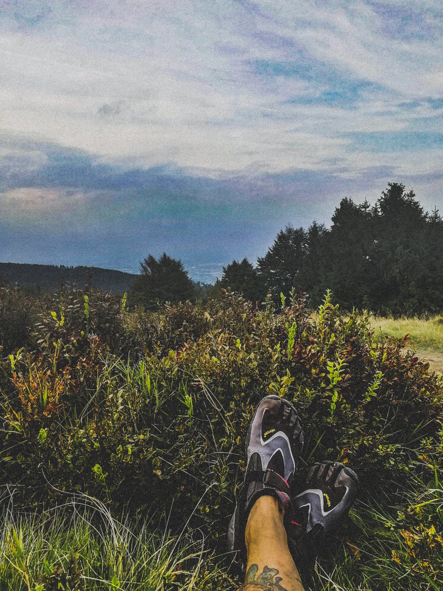 kujawski_rafal's tweet photo. So I made my first barefoot trip around Czantoria mountain, thank you @Vibram5Fingers you rock 🤘🤙 except the smell of my feet ... It was terrible after that 10 miles :P
#mountain #hiking #barefoot #trekking #runnining #photography https://t.co/2QZAB1Y5rw