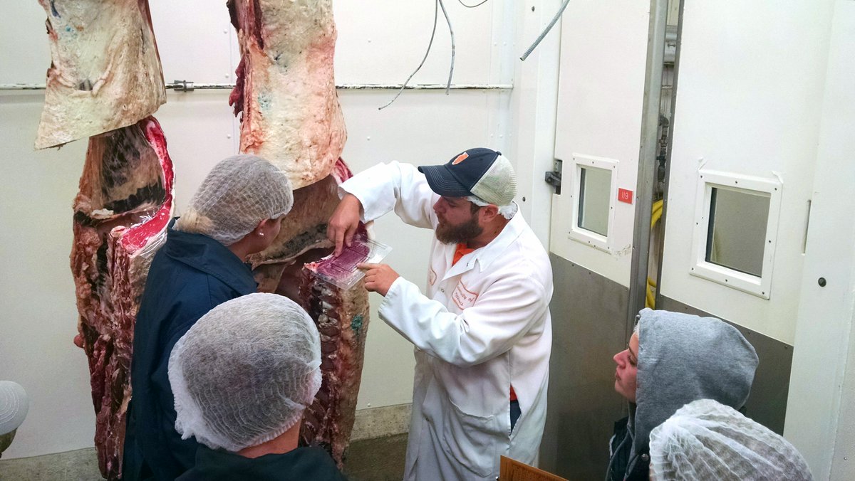 illinoisALEC's tweet image. Thanks to Brandon Klehm, @ACESIllinois @uofimeatsci judging team coach, for presenting a meat evaluation workshop to pre-service teachers. #learntodo #dotolearn #TeachAg #ACESstory