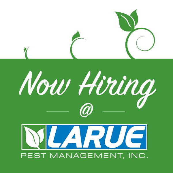 laruepest's tweet photo. Would you, or someone you know, make an awesome Sales Representative for Larue? We'd love to hear from you! Apply now: https://t.co/Ss0ZuCFAAF https://t.co/a1FZJ0CW0t