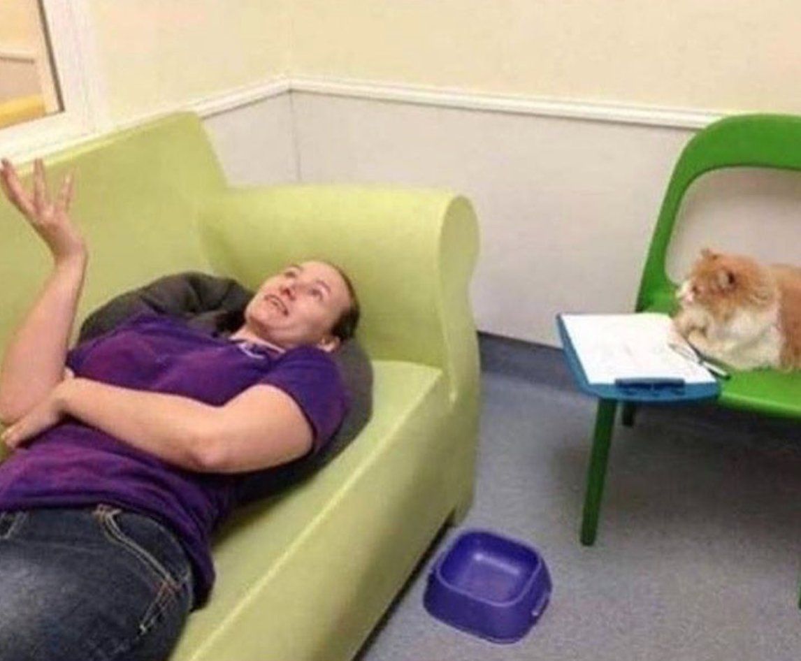 me to my pet at 2 am